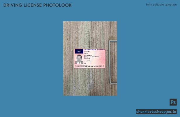 Beispielvorschau für die Passfotoprüfung des kroatischen Führerscheins